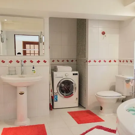 Deribasovskaya,16/1 Apartment *